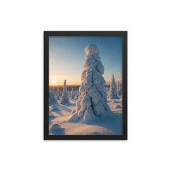 Riisitunturi Snow laden Trees Finland framed print on a plain backdrop in size 12"x16".