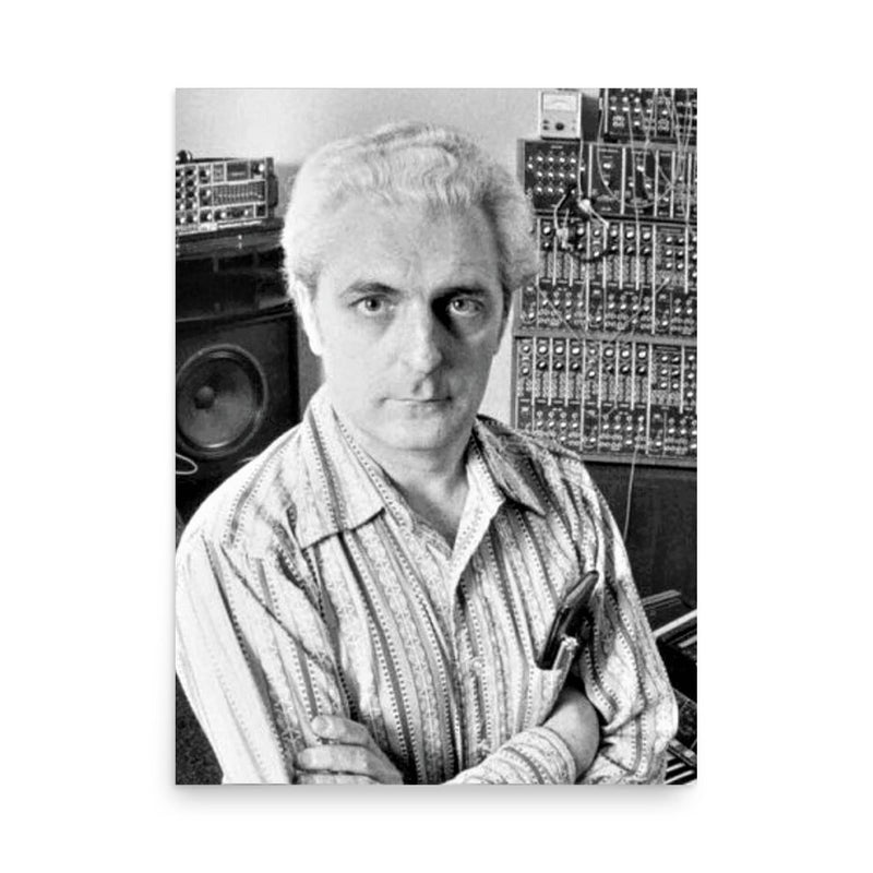 Robert Moog poster on a plain backdrop in size 18