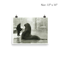 Roland the Elephant Seal Getting a Snow Bath at Berlin Zoo, 1930 poster 3