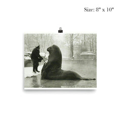 Roland the Elephant Seal Getting a Snow Bath at Berlin Zoo, 1930 poster 4