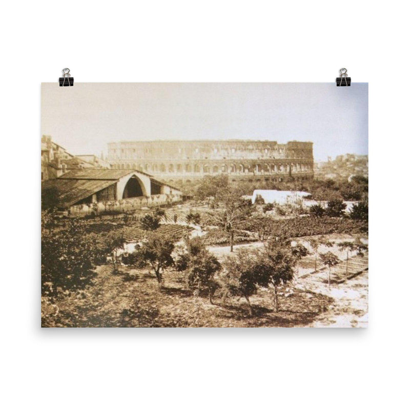 Rome Becomes the Capital of the Kingdom of Italy, 1871 poster on a plain backdrop in size 8