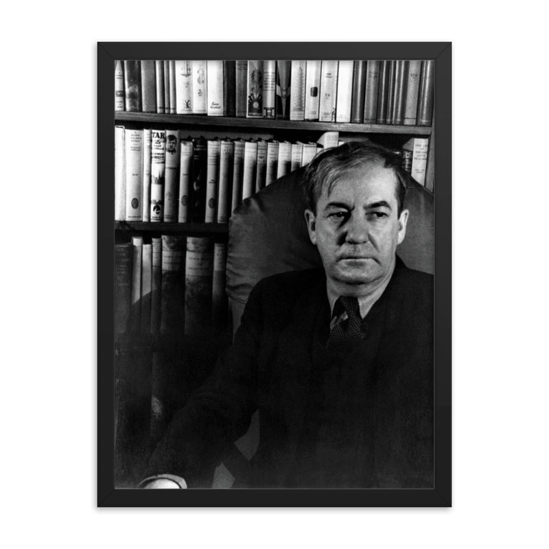 Sherwood Anderson framed print on a plain backdrop in size 18