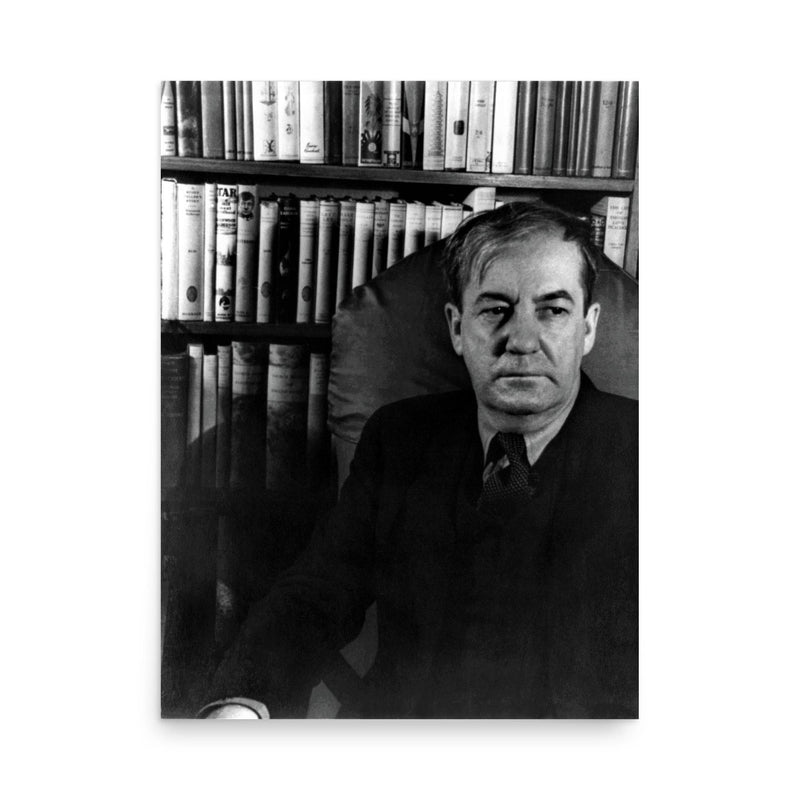 Sherwood Anderson poster on a plain backdrop in size 18