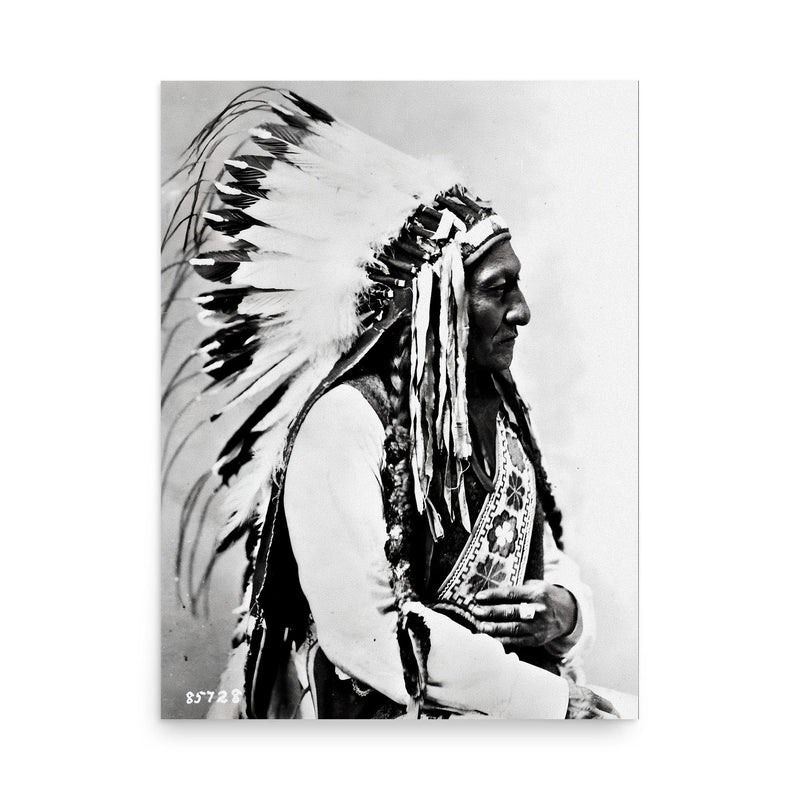 Sitting Bull poster on a plain backdrop in size 18