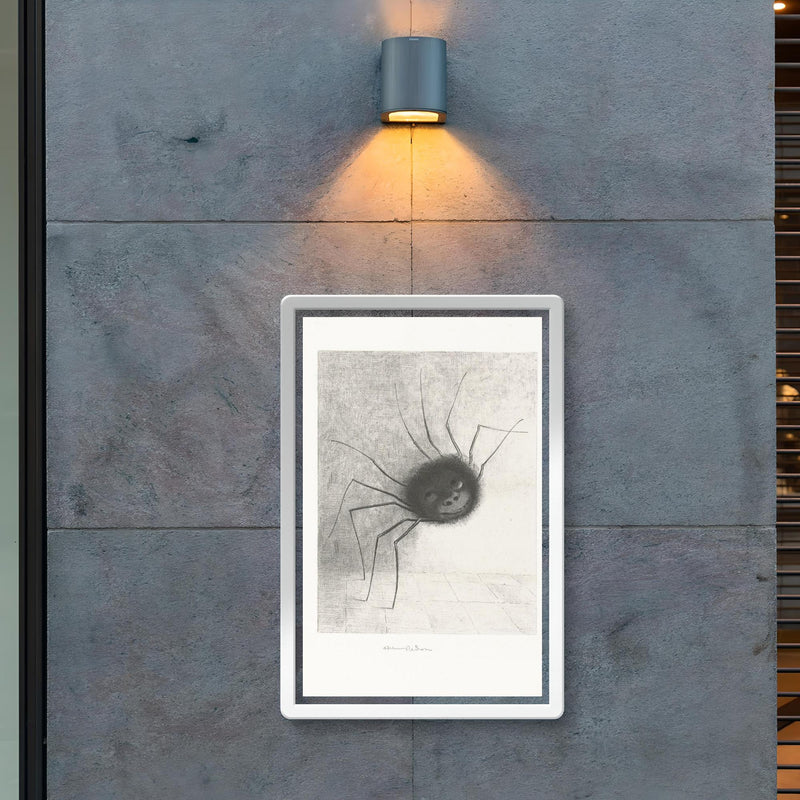 Smiling Spider by Odilon Redon, 1887 poster 2