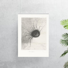 Smiling Spider by Odilon Redon, 1887 poster 7