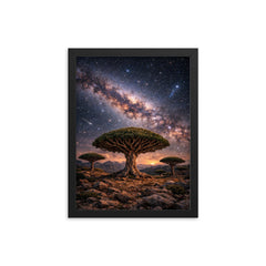Socotra dragon blood trees under Milky Way framed print on a plain backdrop in size 12"x16".