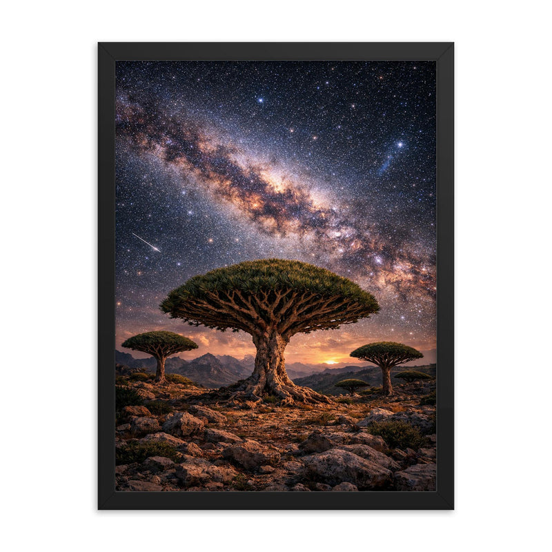 Socotra dragon blood trees under Milky Way framed print on a plain backdrop in size 18
