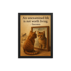 socrates quote an unexamined life cat staring at reflection with other cats framed print on a plain backdrop in size 12"x16".