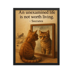 socrates quote an unexamined life cat staring at reflection with other cats framed print on a plain backdrop in size 16"x20".