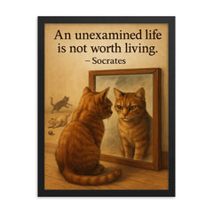 socrates quote an unexamined life cat staring at reflection with other cats framed print on a plain backdrop in size 18"x24".