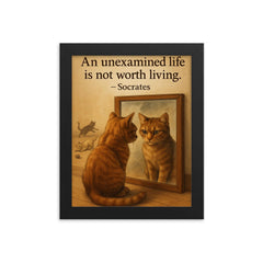 socrates quote an unexamined life cat staring at reflection with other cats framed print on a plain backdrop in size 8"x10".