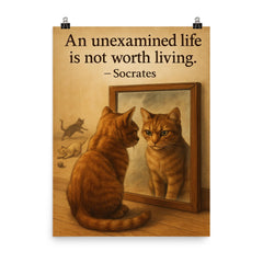 socrates quote an unexamined life cat staring at reflection with other cats poster on a plain backdrop in size 8"x10".