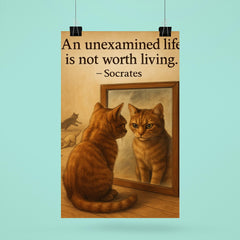 socrates quote an unexamined life cat staring at reflection with other cats poster 6
