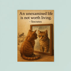 socrates quote an unexamined life cat staring at reflection with other cats poster 8