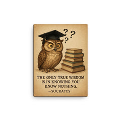 Socrates wisdom quote confused owl in graduation cap with books and question marks inspiring poster canvas print on a plain backdrop in size 12"x16".