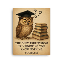 Socrates wisdom quote confused owl in graduation cap with books and question marks inspiring poster canvas print on a plain backdrop in size 16"x20".