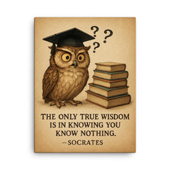 Socrates wisdom quote confused owl in graduation cap with books and question marks inspiring poster canvas print on a plain backdrop in size 18"x24".