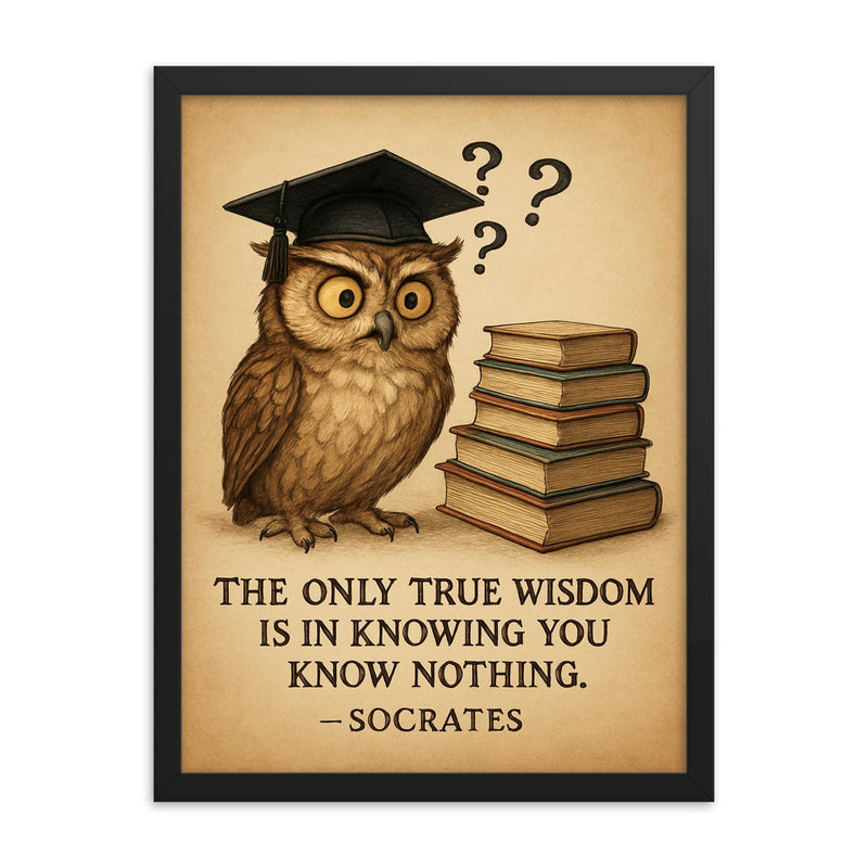 Socrates wisdom quote confused owl in graduation cap with books and question marks inspiring poster framed print on a plain backdrop in size 18