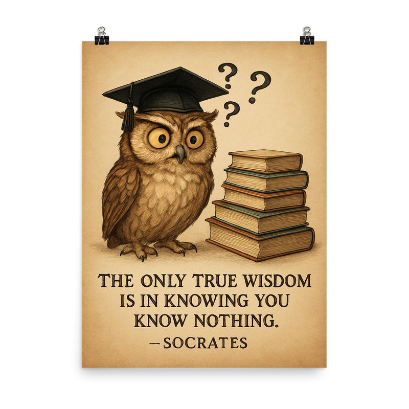 Socrates wisdom quote confused owl in graduation cap with books and question marks inspiring poster poster on a plain backdrop in size 8