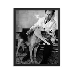 Soviet Scientist Vladimir Demikhov with 2-Headed Dog, 1959 framed print on a plain backdrop in size 16"x20".