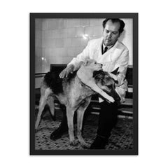 Soviet Scientist Vladimir Demikhov with 2-Headed Dog, 1959 framed print on a plain backdrop in size 18"x24".