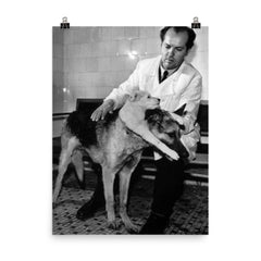 Soviet Scientist Vladimir Demikhov with 2-Headed Dog, 1959 poster on a plain backdrop in size 8"x10".