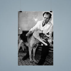 Soviet Scientist Vladimir Demikhov with 2-Headed Dog, 1959 poster 9