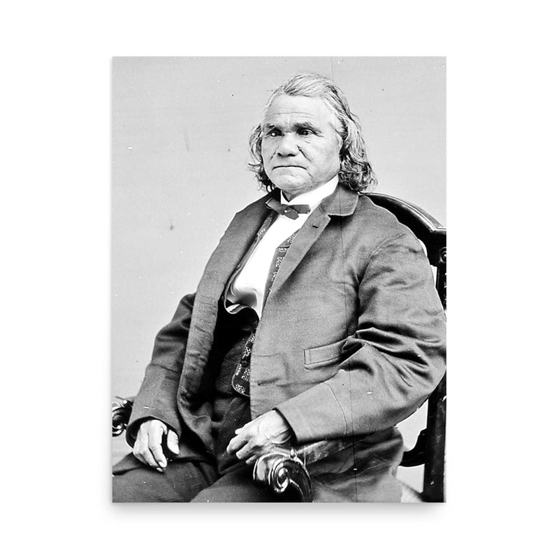 Stand Watie poster on a plain backdrop in size 18