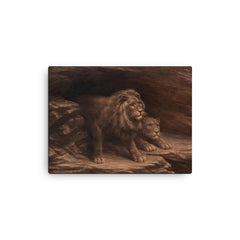 Study of Lions by M C Fehr canvas print on a plain backdrop in size 12"x16".