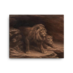Study of Lions by M C Fehr canvas print on a plain backdrop in size 16"x20".
