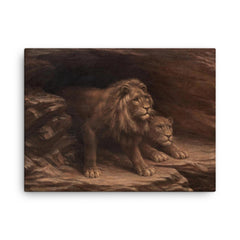 Study of Lions by M C Fehr canvas print on a plain backdrop in size 18"x24".