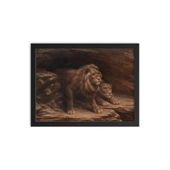 Study of Lions by M C Fehr framed print on a plain backdrop in size 12"x16".