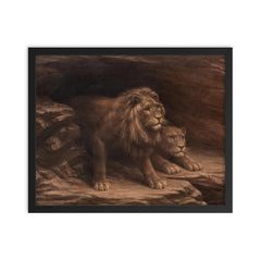 Study of Lions by M C Fehr framed print on a plain backdrop in size 16"x20".
