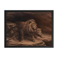 Study of Lions by M C Fehr framed print on a plain backdrop in size 18"x24".