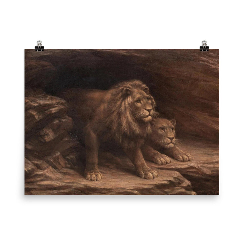 Study of Lions by M C Fehr poster on a plain backdrop in size 8
