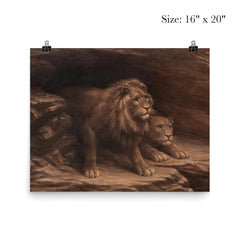 Study of Lions by M C Fehr poster 2