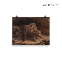 Study of Lions by M C Fehr poster 3