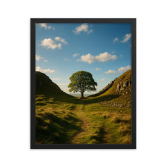 Sycamore Gap Hadrian's Wall England framed print on a plain backdrop in size 16"x20".