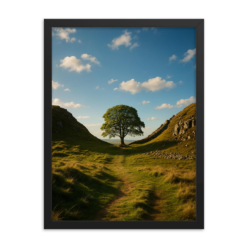 Sycamore Gap Hadrian's Wall England framed print on a plain backdrop in size 18