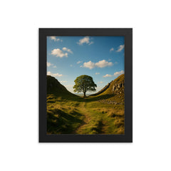 Sycamore Gap Hadrian's Wall England framed print on a plain backdrop in size 8"x10".