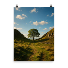 Sycamore Gap Hadrian's Wall England poster on a plain backdrop in size 8"x10".