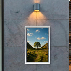 Sycamore Gap Hadrian's Wall England poster 2