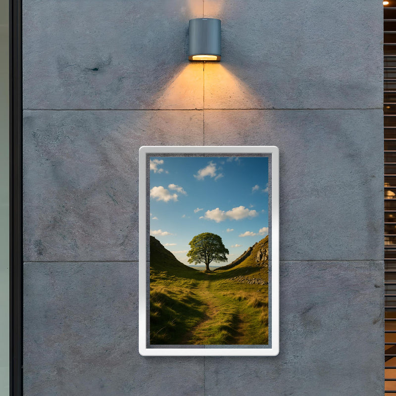 Sycamore Gap Hadrian's Wall England poster 2