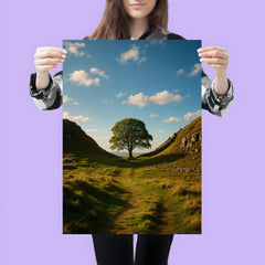 Sycamore Gap Hadrian's Wall England poster 3