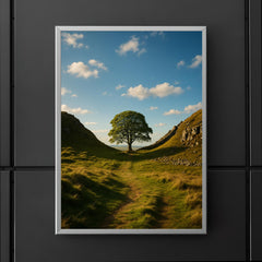 Sycamore Gap Hadrian's Wall England poster 5