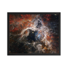 Tarantula Nebula taken by James Webb Space Telescope framed print on a plain backdrop in size 16"x20".