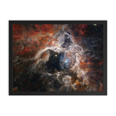 Tarantula Nebula taken by James Webb Space Telescope framed print on a plain backdrop in size 18"x24".