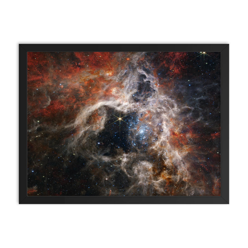 Tarantula Nebula taken by James Webb Space Telescope framed print on a plain backdrop in size 18