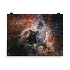 Tarantula Nebula taken by James Webb Space Telescope poster on a plain backdrop in size 8"x10".
